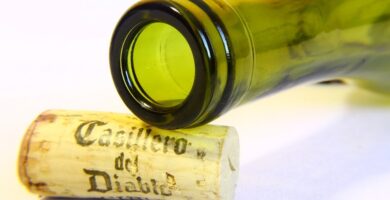 Descubriendo el Encanto del Vino: El Tapón de Corcho como Pieza Clave en el Universo Vinícola